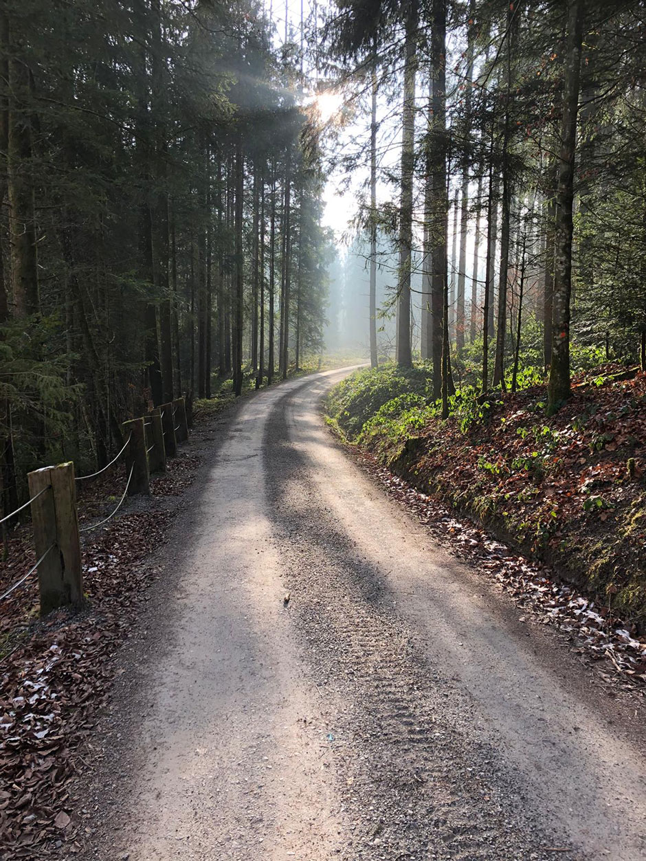 trail in switzerland